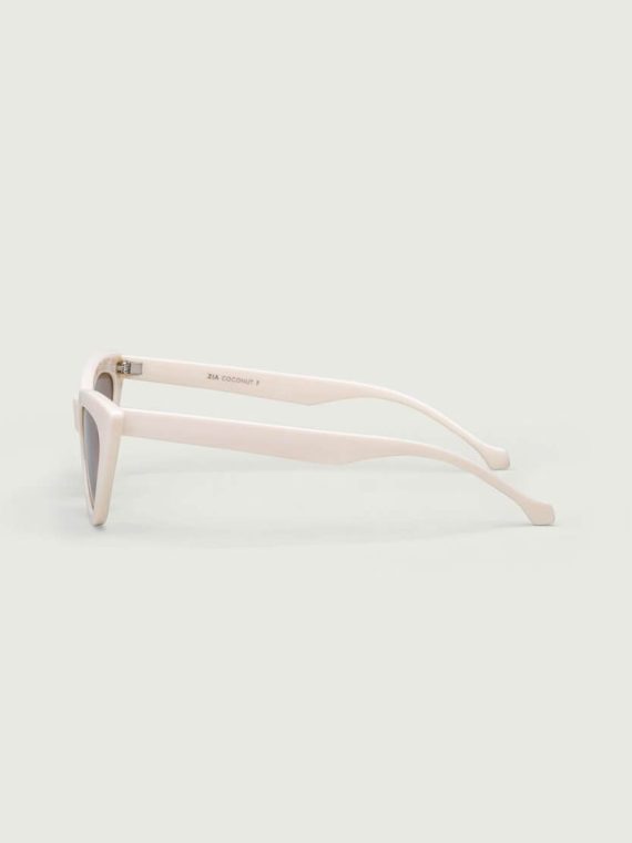 Thick Plastic Sunglasses
